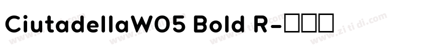 CiutadellaW05 Bold R字体转换